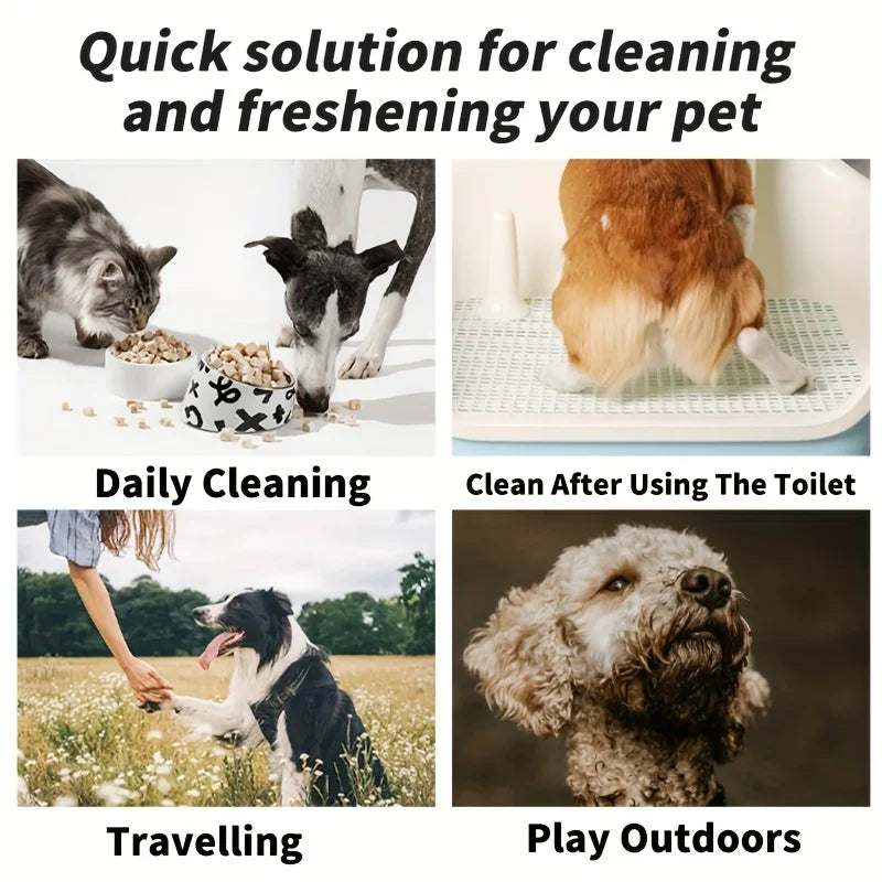 Pet Wipes for Dogs Cats, 80pcs*2 Packs, Thick Pearl Embossed Cleaning Wipes, Unscented No Alcohol, for Paws Eyes Butt by Nova Shop